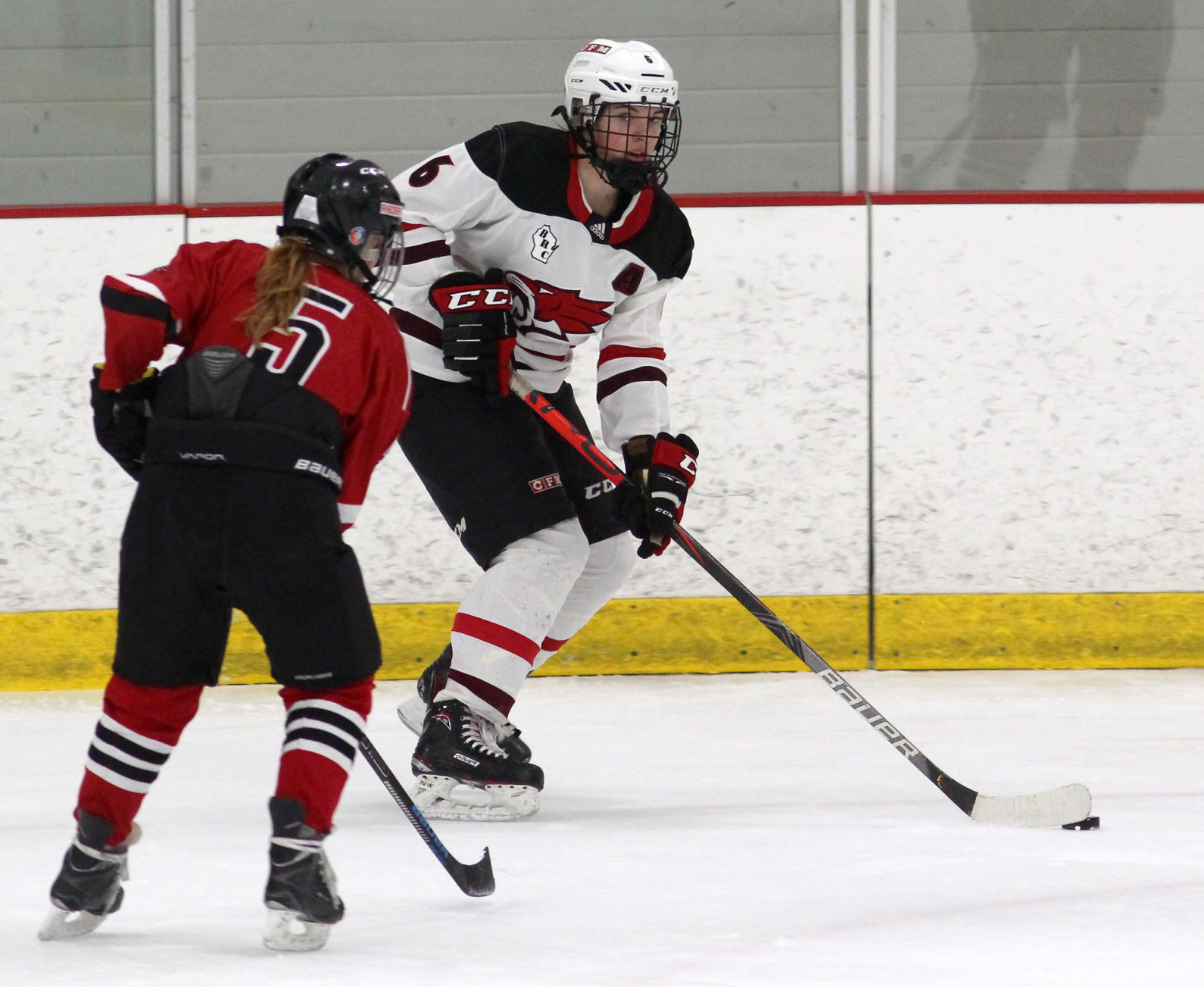 Medford at Chippewa Falls/Menomonie girls hockey 1-30-20